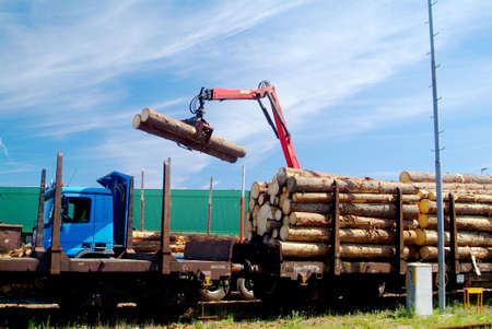 a blue wood crane with tree trank