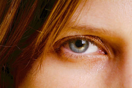 detail of a made up eye and brow