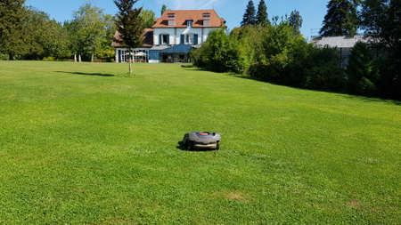 View of the grass and trees of the garden of an Atelier in Aquitaine Franceのeditorial素材