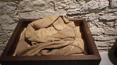 Close-up of a wooden box full of wheat grains and oatsの写真素材
