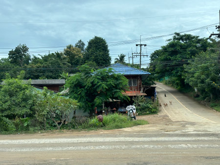 View on the road in Jalan Saujana, Sabah.の写真素材