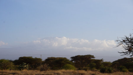 landscape of savanna in kenyan national park, africaの写真素材