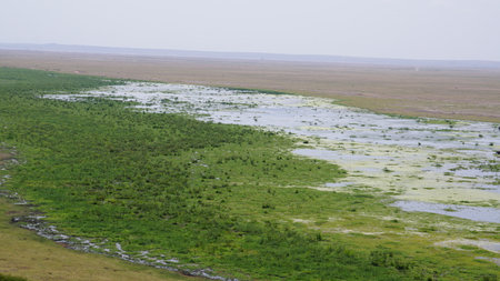 Ngorongoro Crater in Tanzania, Africa, Africa.