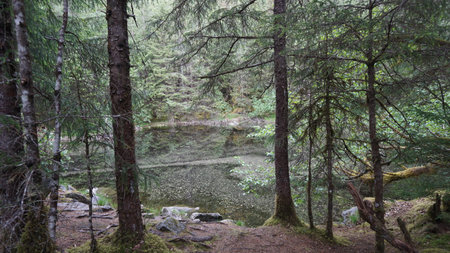 Mountain lake in the middle of the forest in the summer.