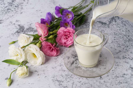 Milk in a glass and a jug, on a background is a gray concrete background and flowers.の写真素材