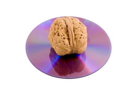 walnut in disk cd