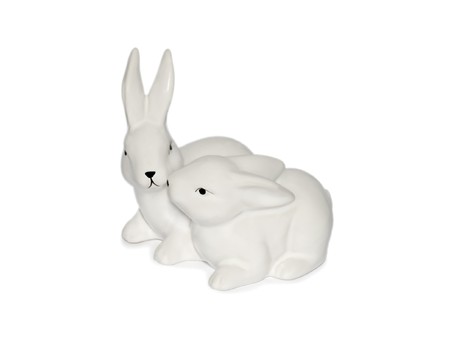 rabbit の写真素材