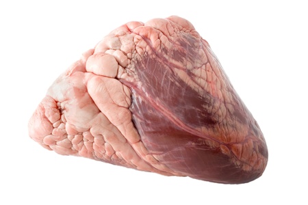 heart animal isolated on white backgroundの写真素材