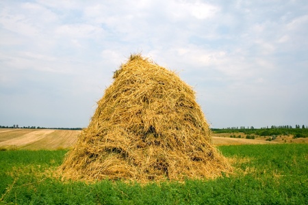 Agricultural landscape of stack Hayの写真素材