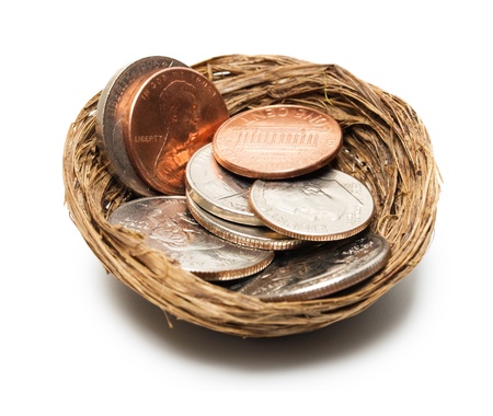 concept coins in nest isolatedの写真素材