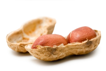 peanuts isolated on white backgroundの写真素材