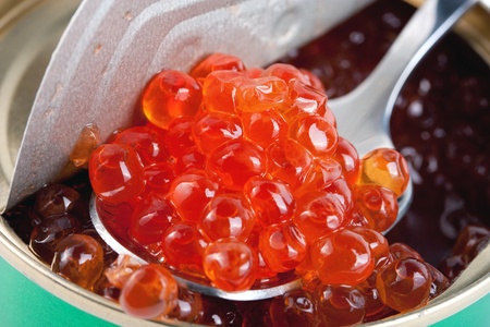Red caviar in metal can with spoonの写真素材