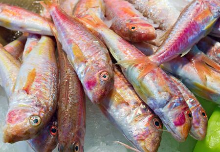 Fresh red fish is displayed in a supermarketの写真素材