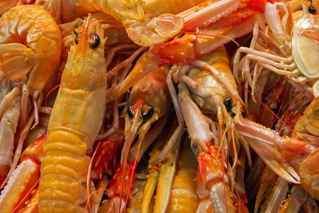 seafood - Red Crawfish shrimp is displayed in supermarket の写真素材