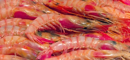Background of fresh cooked  heap prawns の写真素材