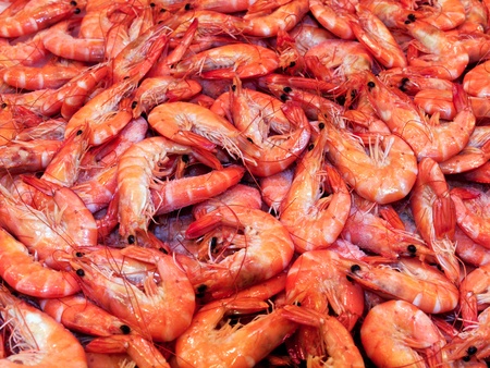 bunch of steamed shrimps background foodの写真素材