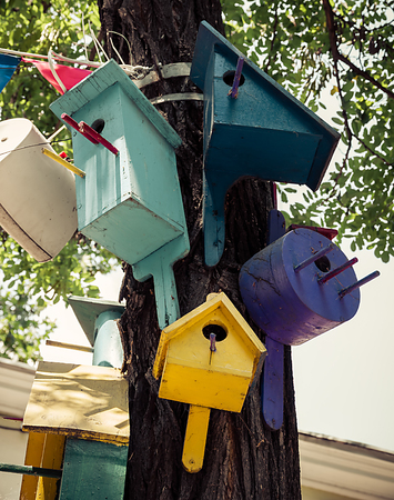 colorful nesting boxes on a treeの写真素材