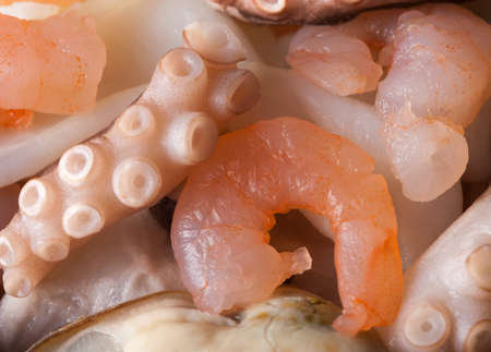 seafood salad with squid prawn octopusの写真素材