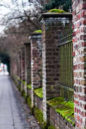 Old fence wall brick with mossの写真素材