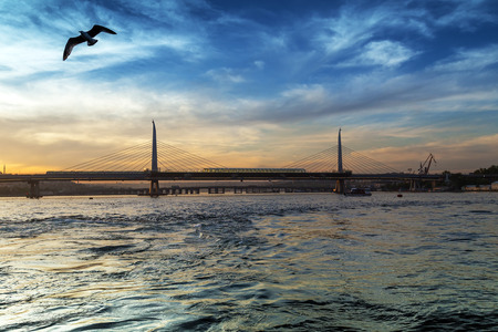 Bosphorus Bridge Istanbul by Night, Turkeyの写真素材