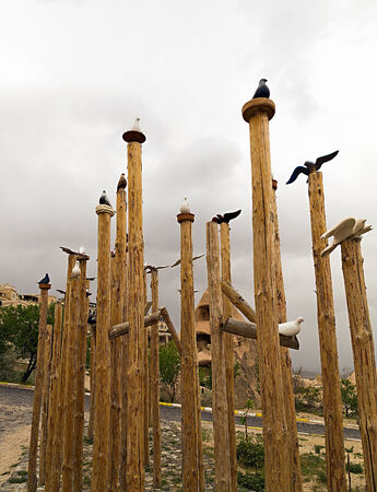 cappadocia dove in national park Goreme, Turkeyの写真素材