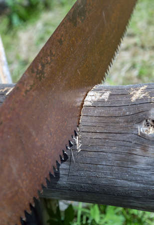 rusty handsaw in firewood backgroundの写真素材