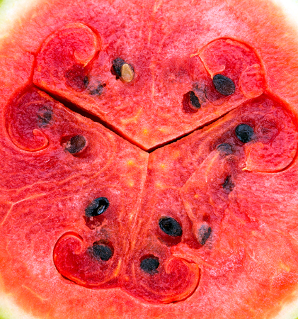 red watermelon backgroundの写真素材