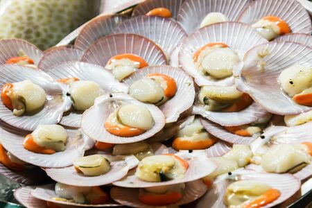 Scallops Background eat seafood.の写真素材