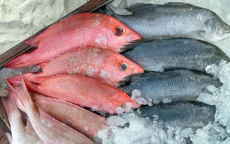 red fish on ice sea market. Seafood on ice
