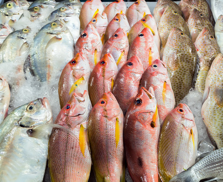 fresh fish seafood in market closeup background