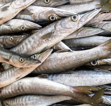 fresh silver fish seafood in market closeup backgroundの写真素材