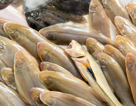 fresh fish seafood in market closeup background