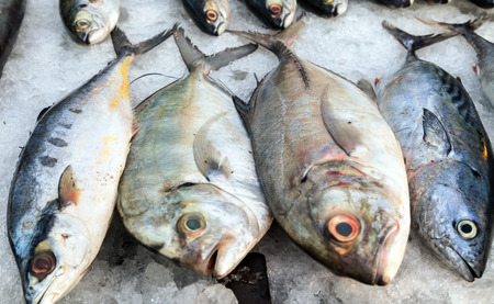 sale fish on ice at street market. Seafood on ice, background Sea food