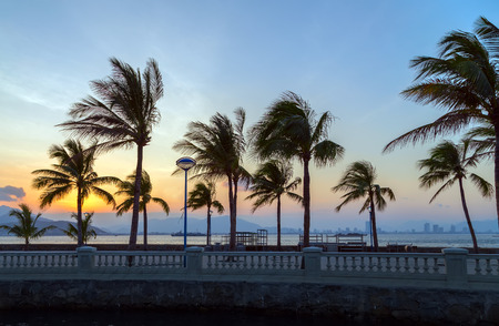 tropical island paradise beachの写真素材