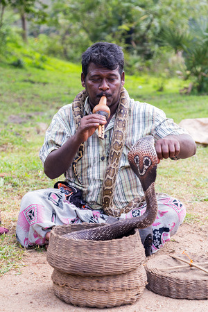 POLONNARUWA, SRI LANKA - JANUARY 31, 2016: Snake charmer man playing on musical instrument before snake at a old basketのeditorial素材