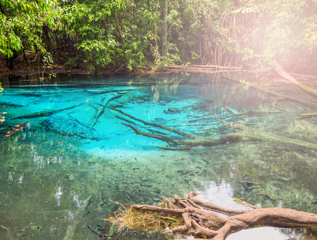 tropical Lake in jungle Blue Pool Krabi Province, Thailand vintage nature backgroundの写真素材