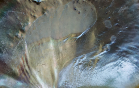 mother-of-pearl seashell macro background texture patternの写真素材