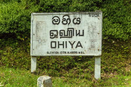 Wet grasslands & Sub-Montane and Montane forest Horton Plains National Park Ohiya, Sri Lankaのeditorial素材