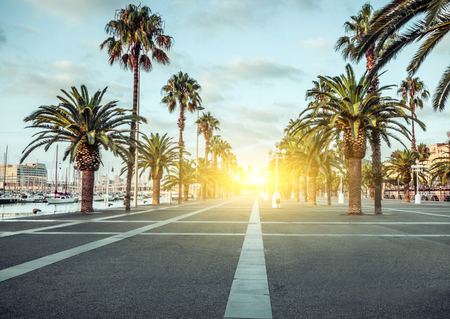 Spring sunrise Port Vell promenade locations with palm trees streets of Barcelona Spain.の写真素材