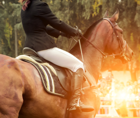 Portrait jockey of a sun jumping horse, Horse rodeo rider male saddle dressage.の写真素材