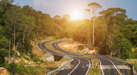 Spring sunset sun road in jungle rain forest - Tropical Pathwayの写真素材