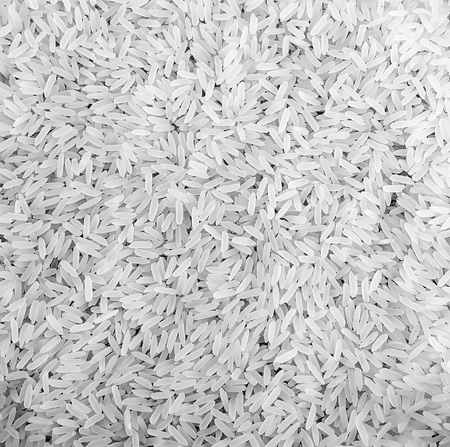 Jasmine long grain rice white background Vietnamese Cuisine garnish of Thaiの写真素材