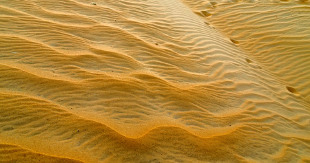 Dunes Landscape sands of the desert