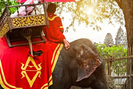 SIEM REAP, CAMBODIA - March 01, 2015: Tourists trekking ride elephant Bayon temple in Angkor Thom is a popular tourist attraction ancient Khmer temple ruins in Siem Reap, Cambodiaのeditorial素材