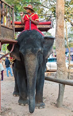 SIEM REAP, CAMBODIA - March 01, 2015: Tourists on an ride elephant Bayon temple in Angkor Thom is a popular tourist attraction ancient Khmer temple ruins in Siem Reap, Cambodiaのeditorial素材