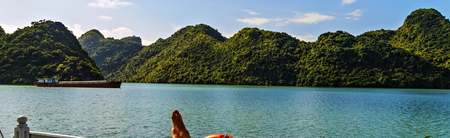 Halong bay islands mountains in South China Sea, Vietnam. spectacular limestone karsts, grottos...