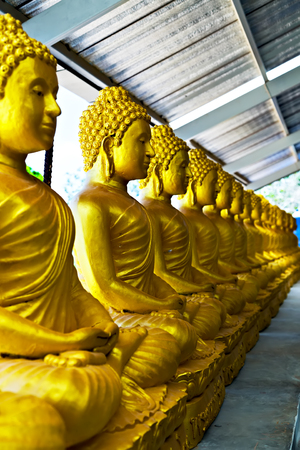 Golden Buddha statue sitting lotus in buddhist temple. Buddhist holiday - Happy Bodhi day achieved enlightenment.のeditorial素材