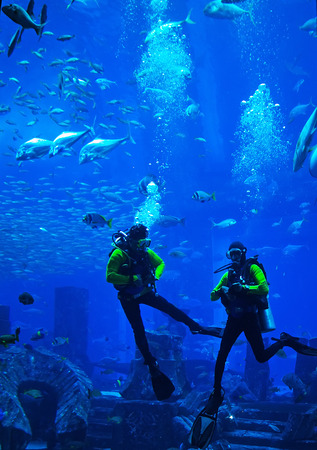 Scuba Diver Swimming in wetsuit neoprene, Spear fisherman with speargun rubbers Underwater blue...