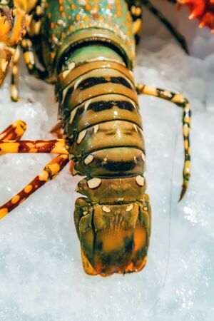 Fresh Lobster tail Ice Raw catch sale fish market Food Backgroundの写真素材