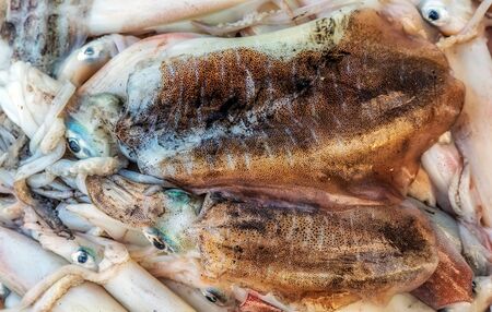 Seafood Mix Frozen Ice fish Market Background Squid Octopus. Food background